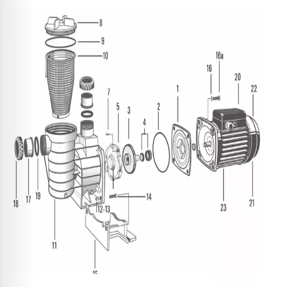 0.75hp Impellor with Ceramic part of Mechanical Seal