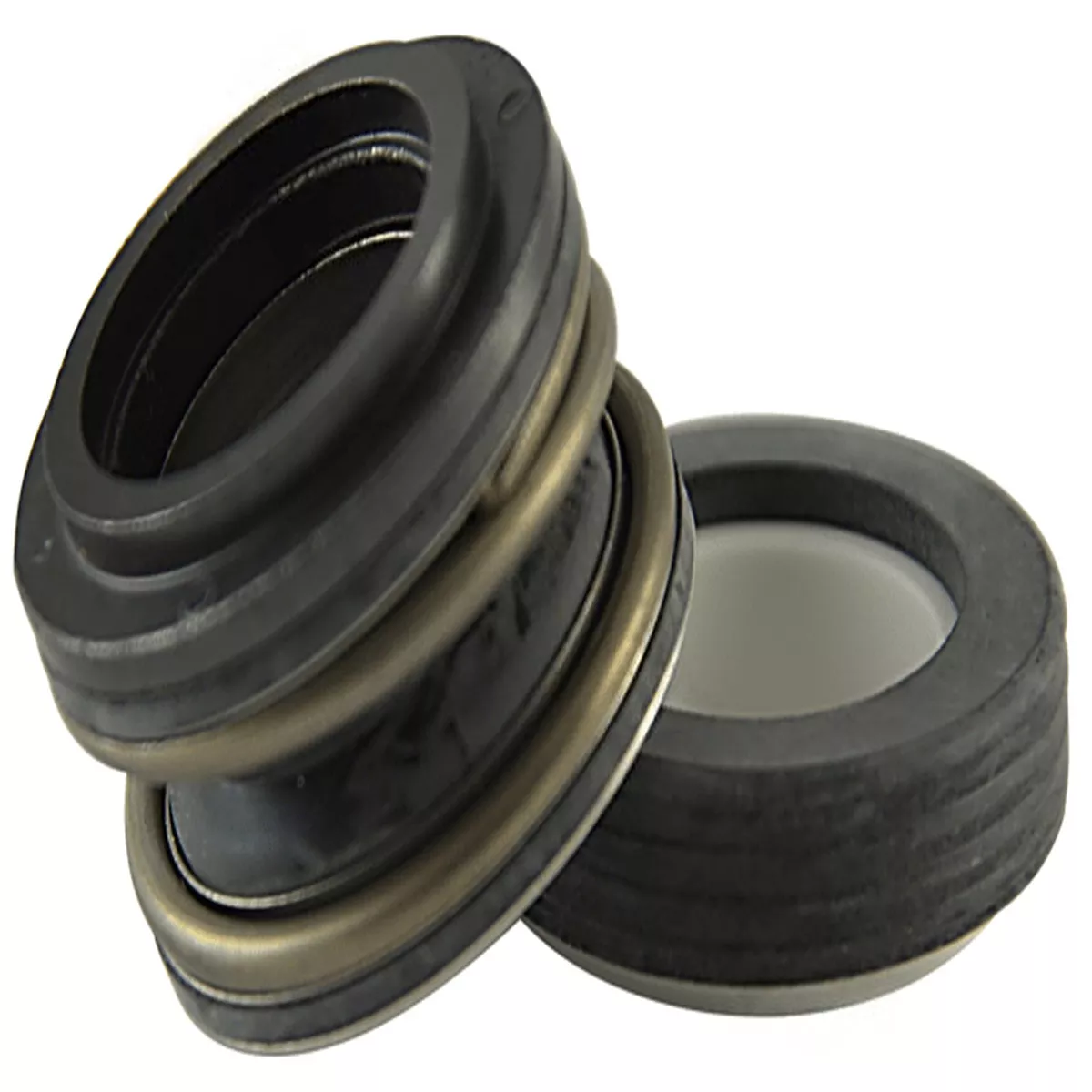 .75″ GENERAL SERVICE SEAL ASSY PS201
