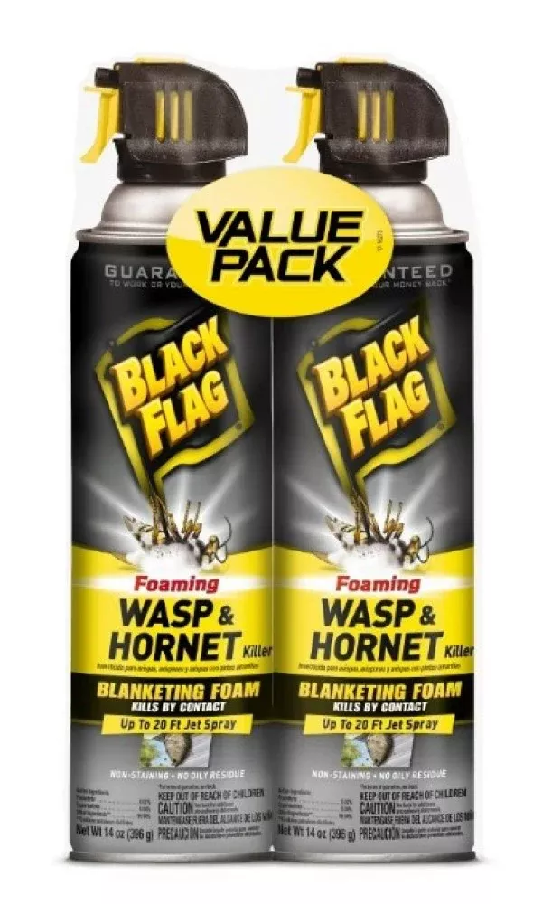 Black Flag HG-21089 Foaming Wasp and Hornet Killer 14 oz., 2-Pack