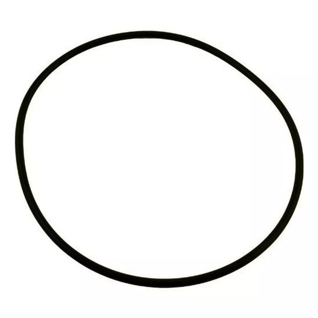 Pentair PacFab 39006000 Buna-N O-Ring