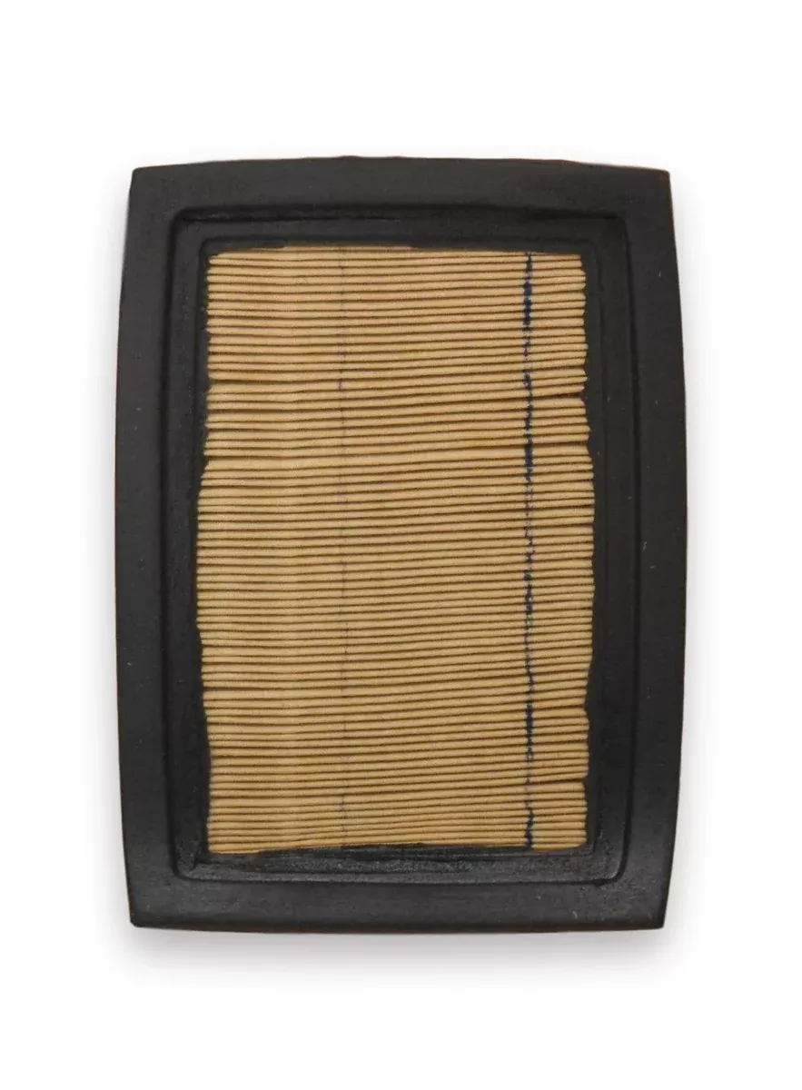 Pronto PA6625 Air Filter A24636 Chevrolet Corsica Beretta 1989 1990 1991-1993