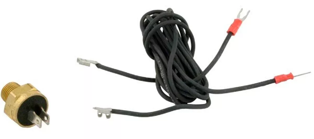 Raypak 600892B Thermostat Auto Reset