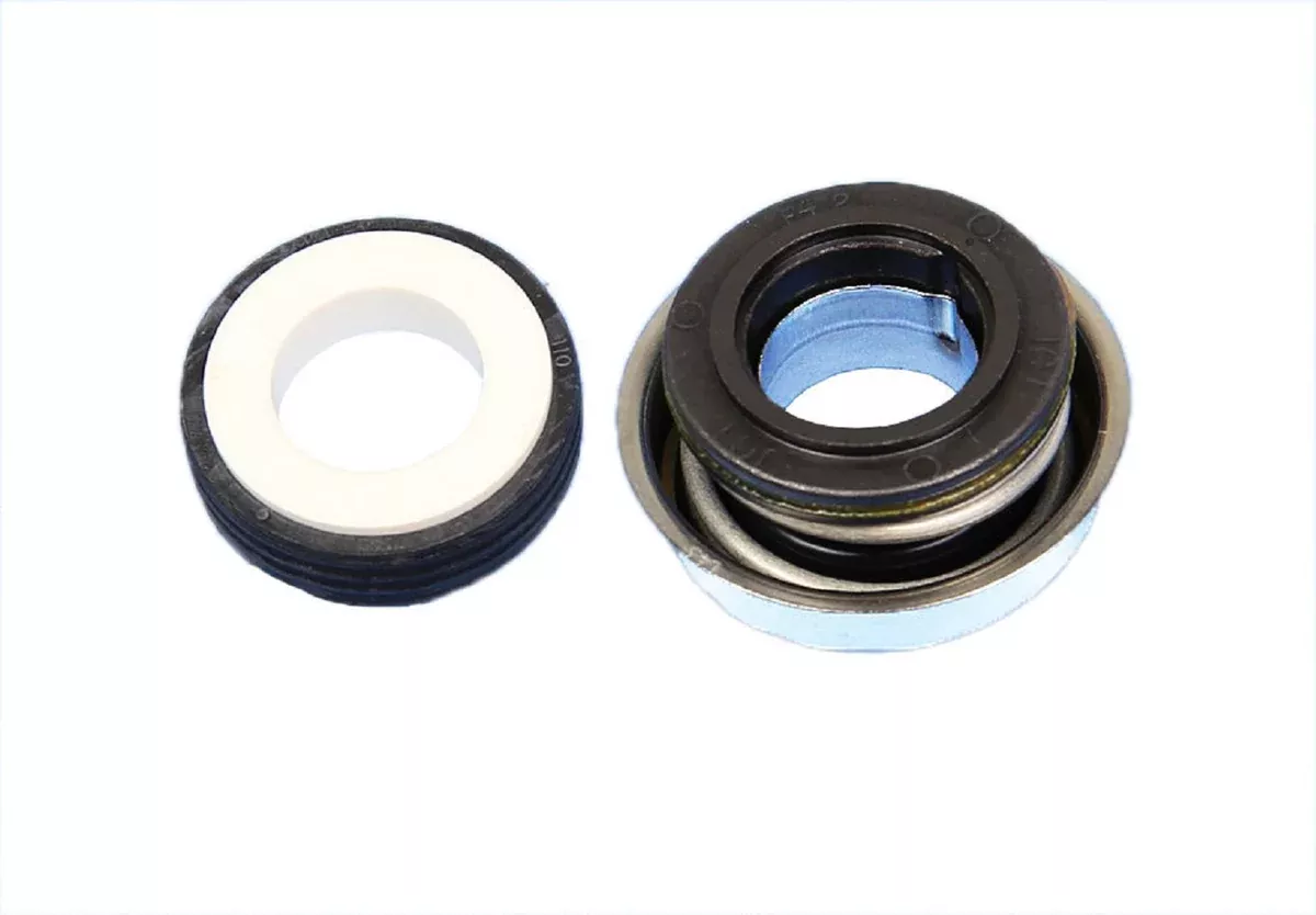 Waterway 319-3100B Shaft Seal Kit 3193100B