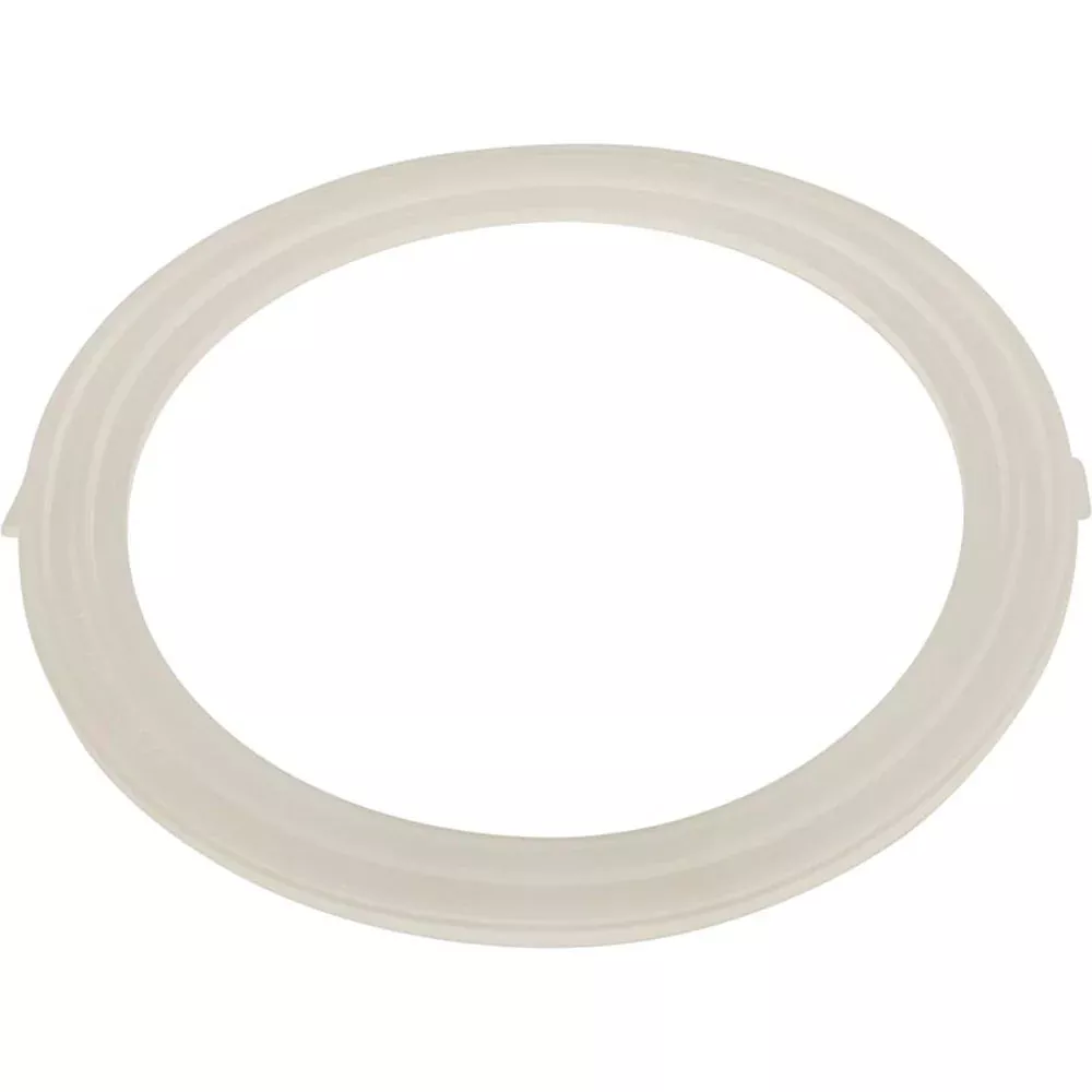 Waterway 711-1740 Replacement Gasket For Poly Jet Wall Fitting (Old Style)