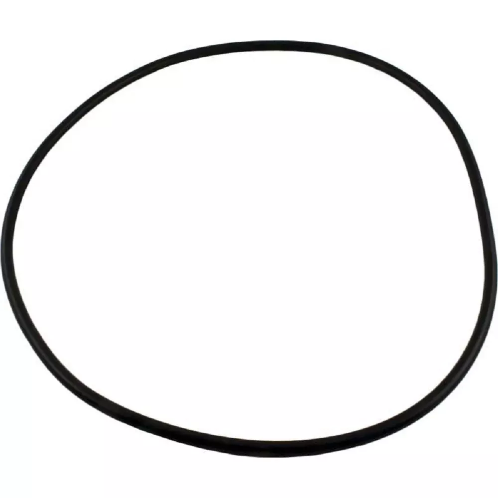 Waterway 805-0000 Crystal Water O-Ring