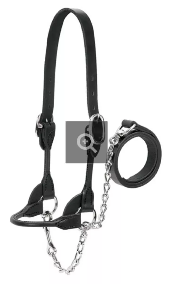 Weaver Leather 90-0504 Heavy-Duty Rounded Black Show Halter Medium for Cattle