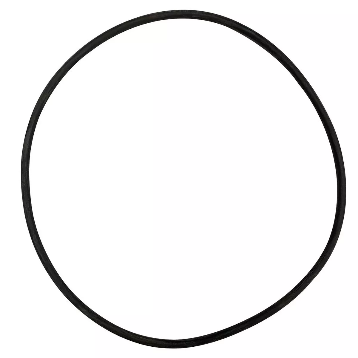Zodiac Nature 2 (17-0061) Cover O-Ring | O-475-BAGGED