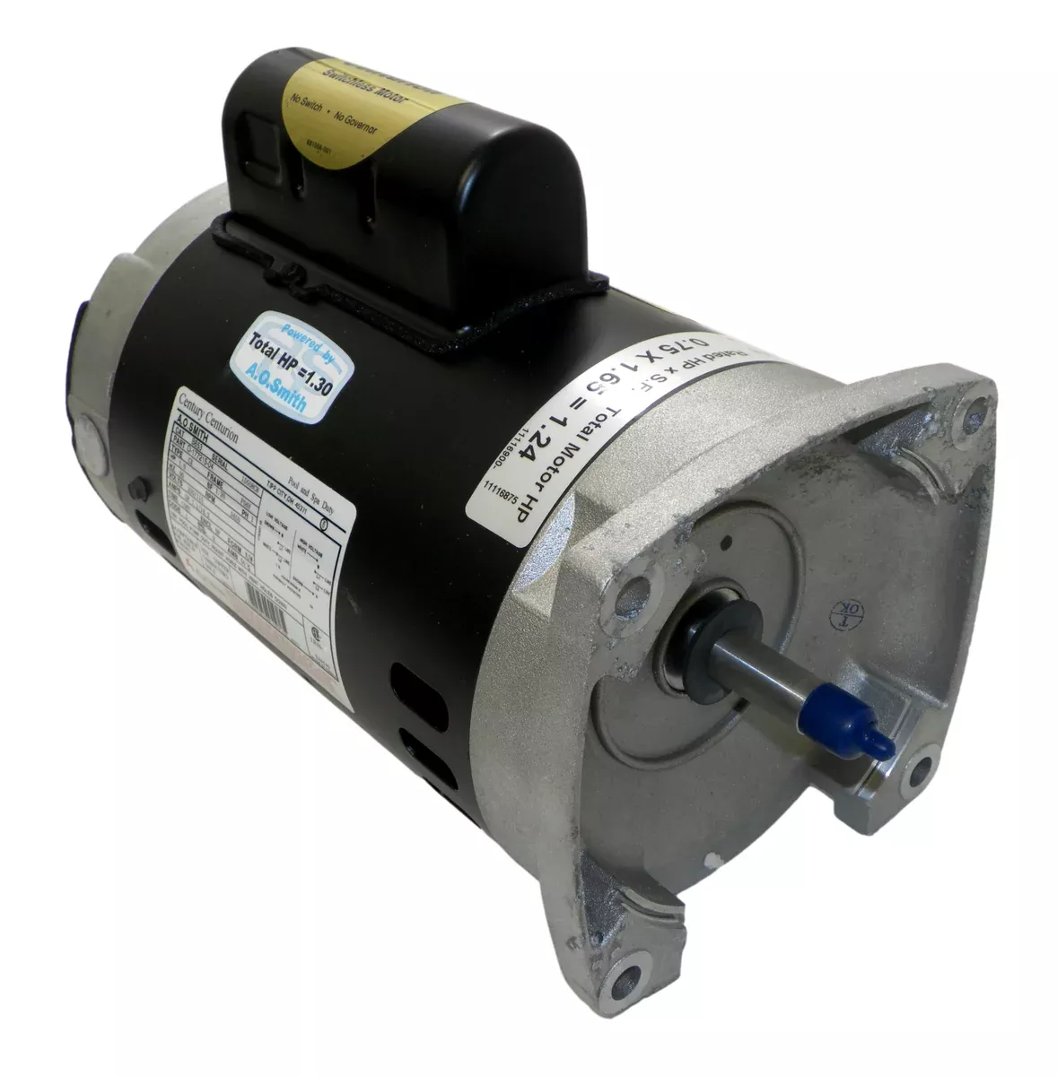 Zodiac R0445109 3/4-HP Single Speed Motor and Hardware Replacement