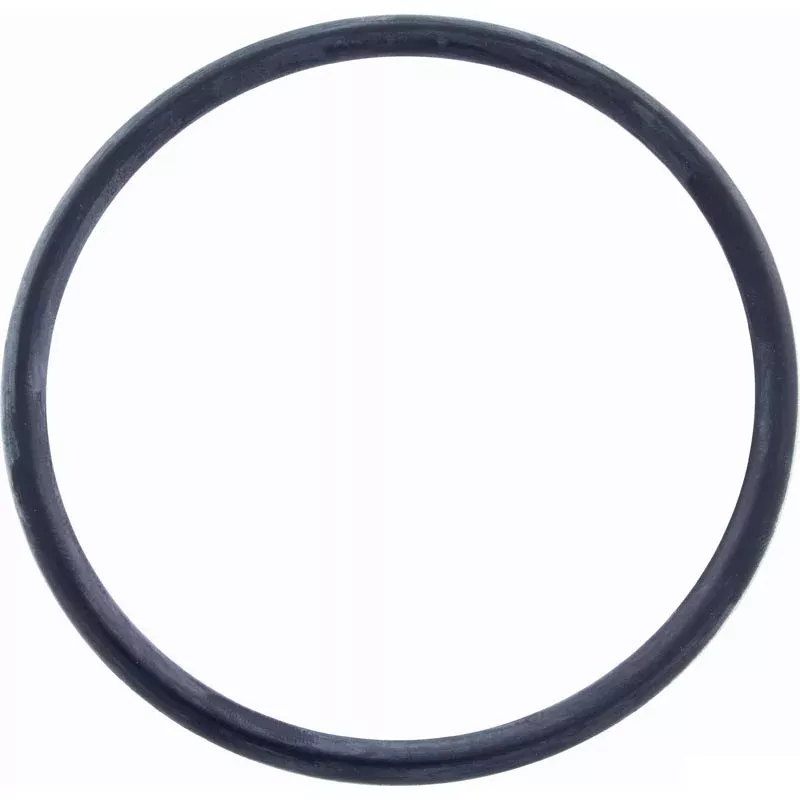 Zodiac R0511600 Main O-Ring Electrode Housing Replacement