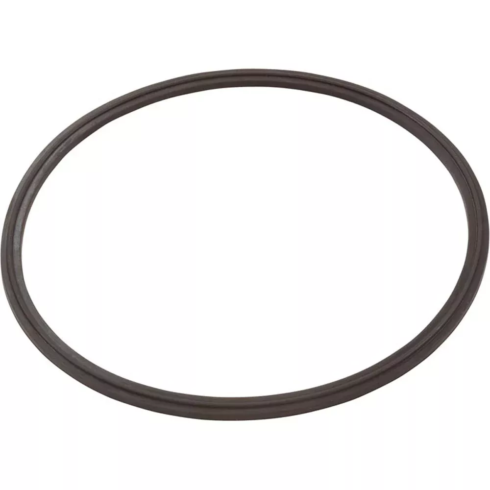 Zodiac R0623300 Leaf Catcher Seal, Cyclonic Leaf Catcher